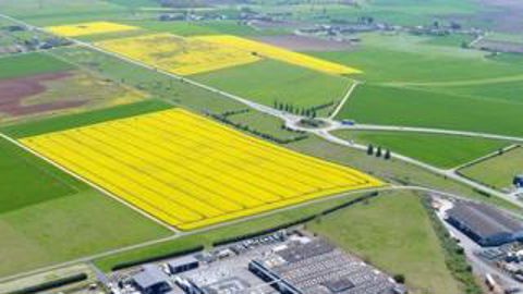 L’usine de production de Phyteurop est implantée depuis 1966 à Montreuil-Bellay (Maine-et-Loire). 90 personnes y sont actuellement employées en CDI.